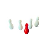 JUEGO DE PALITOS O QUILLAS DE CAMPEONATO PARA CASIN PREMIUM